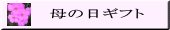 ̓Mtg 