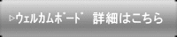 ?ٶްށ@ڍׂ͂ 